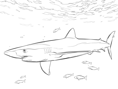 Blue Shark With Pilot Fishes Coloring Page